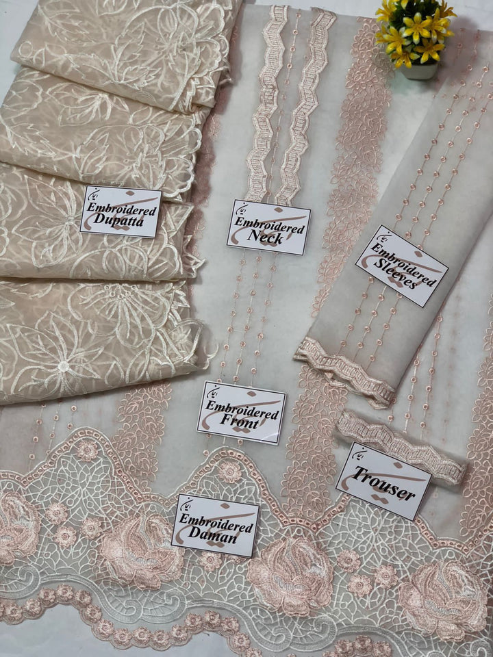 Mushq Organza Suit-Aarasta