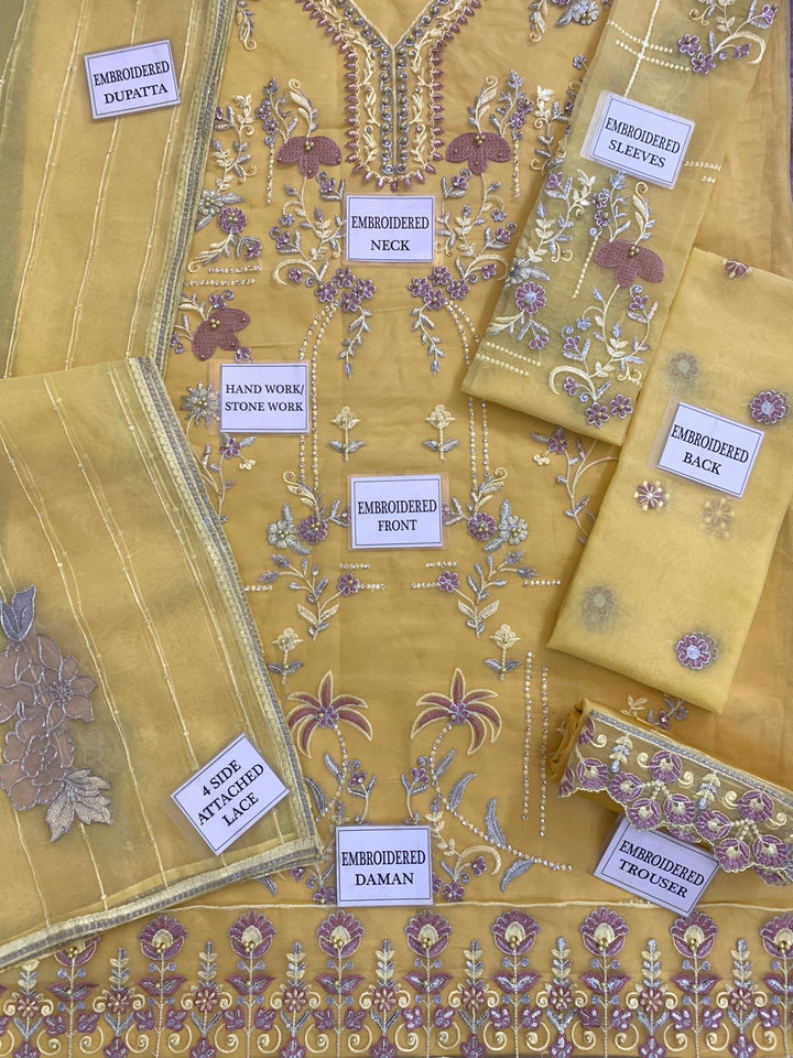 Mushq Organza Suit-Aarasta