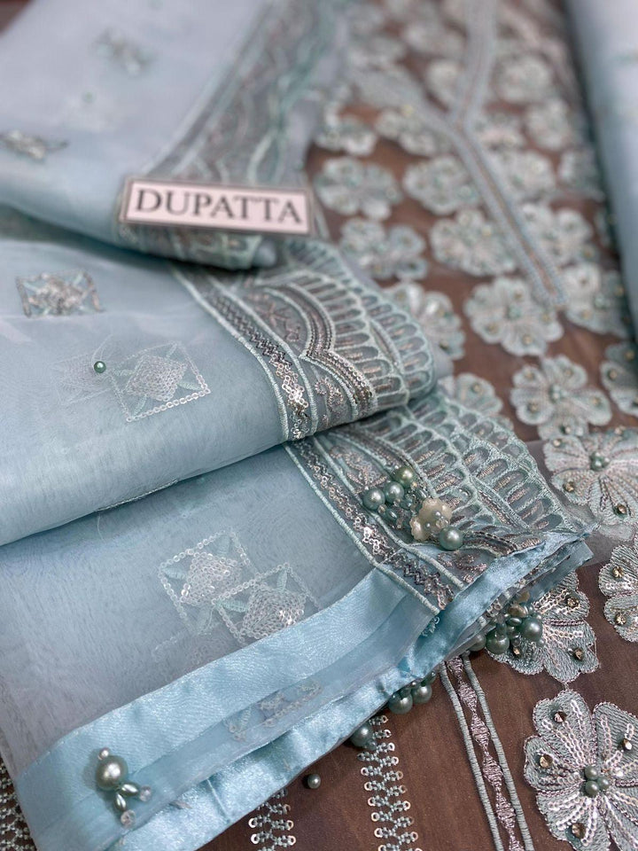 Mushq Organza Suit-Aarasta