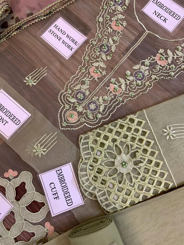 Mushq Organza Suit-Aarasta