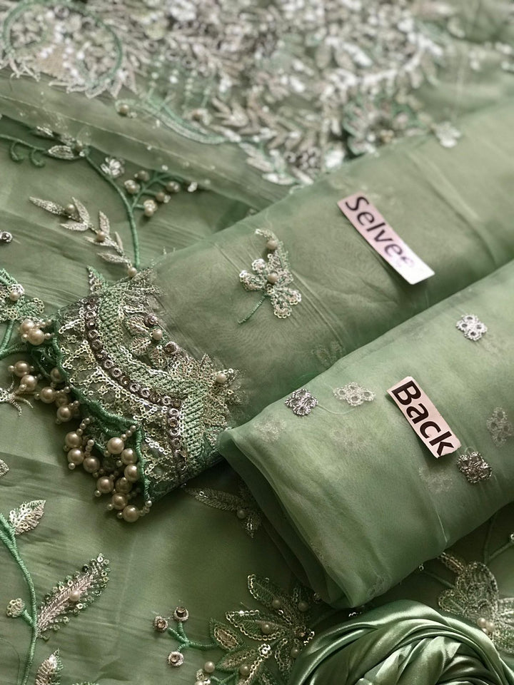 Mushq Organza Suit-Aarasta