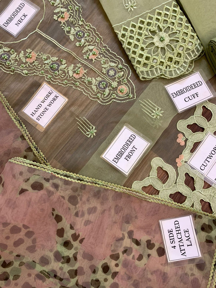 Mushq Organza Suit-Aarasta