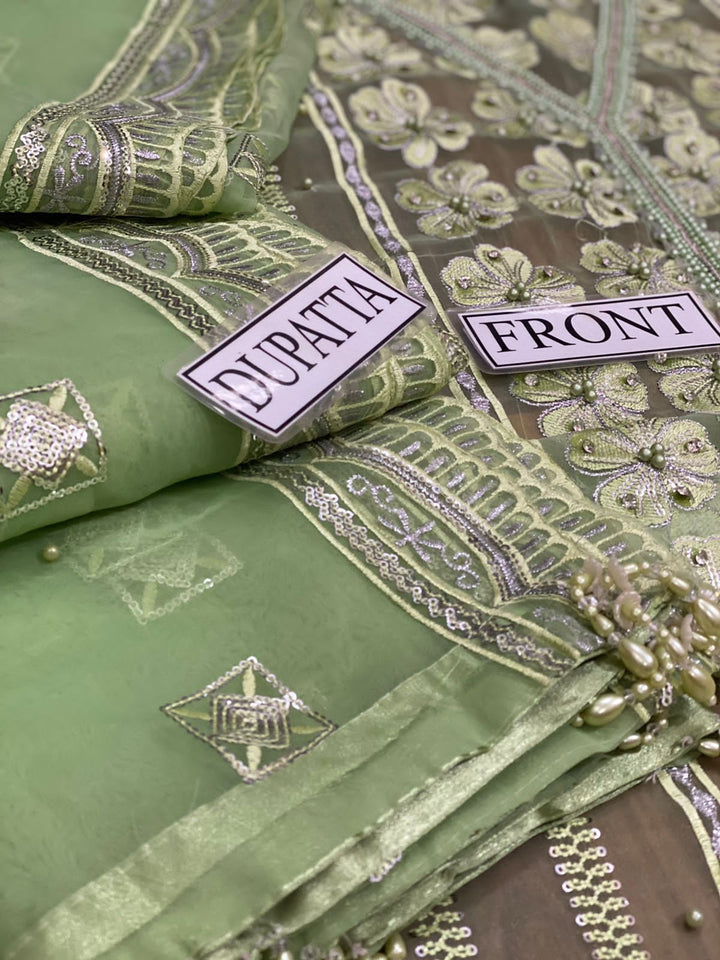 Mushq Organza Suit-Aarasta