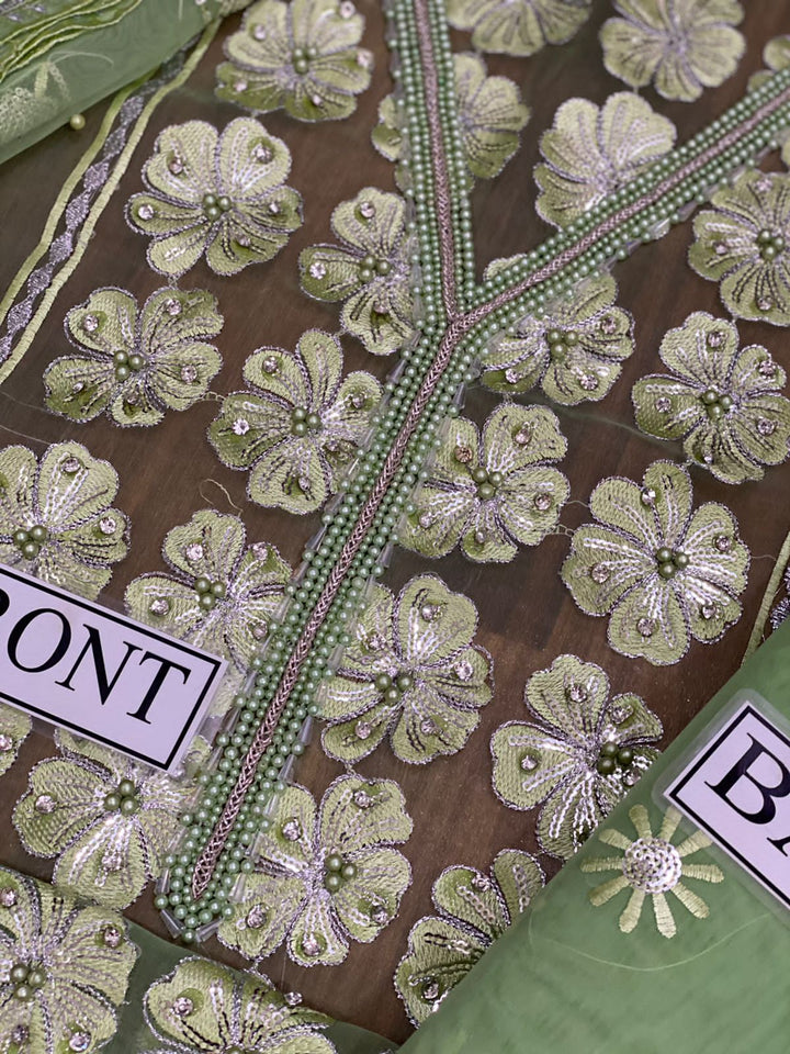 Mushq Organza Suit-Aarasta