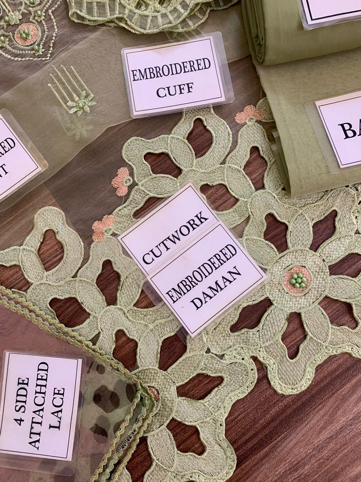 Mushq Organza Suit-Aarasta