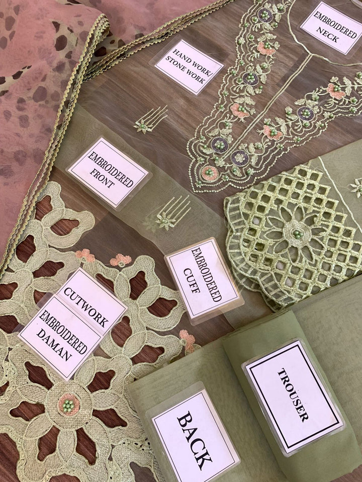 Mushq Organza Suit-Aarasta