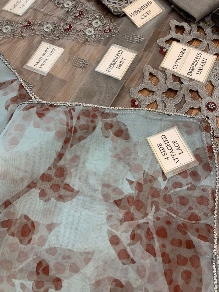 Mushq Organza Suit-Aarasta