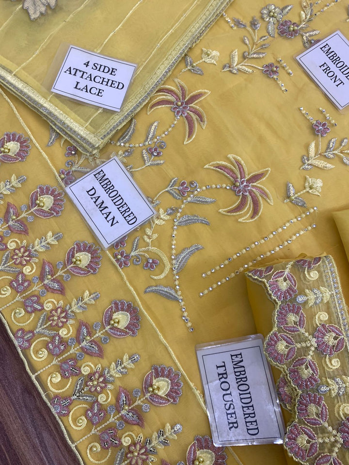 Mushq Organza Suit-Aarasta