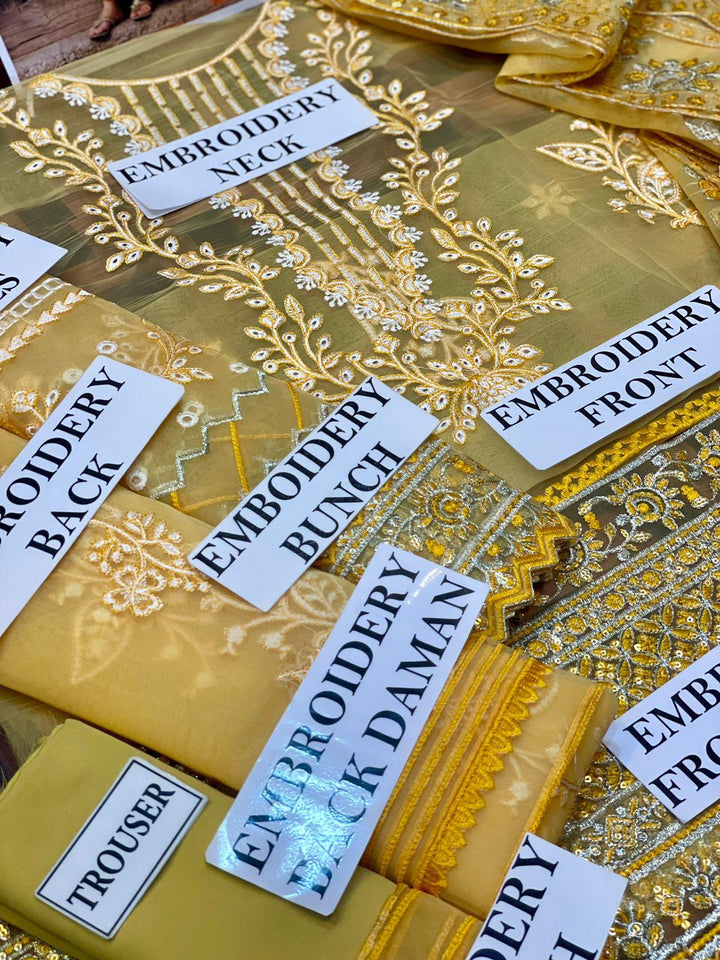 Nureh Organza Suit-Aarasta