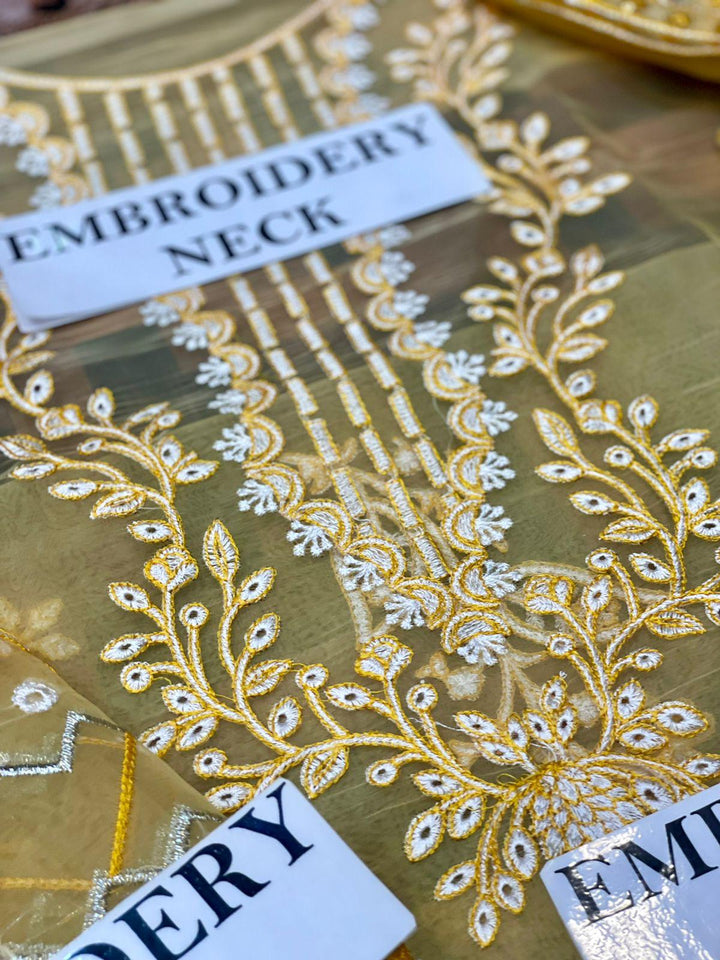 Nureh Organza Suit-Aarasta