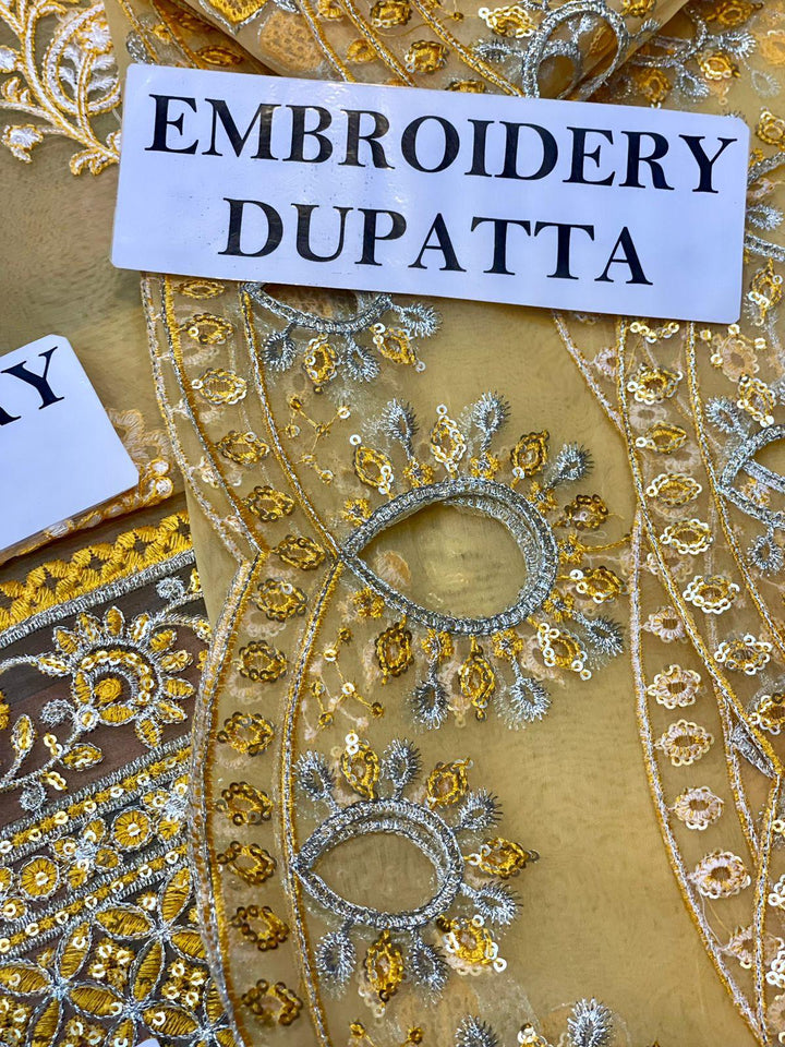 Nureh Organza Suit-Aarasta