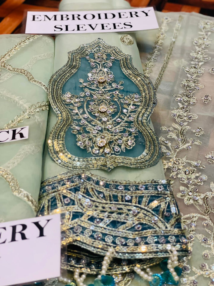 Gul Mira Organza Suit-Aarasta