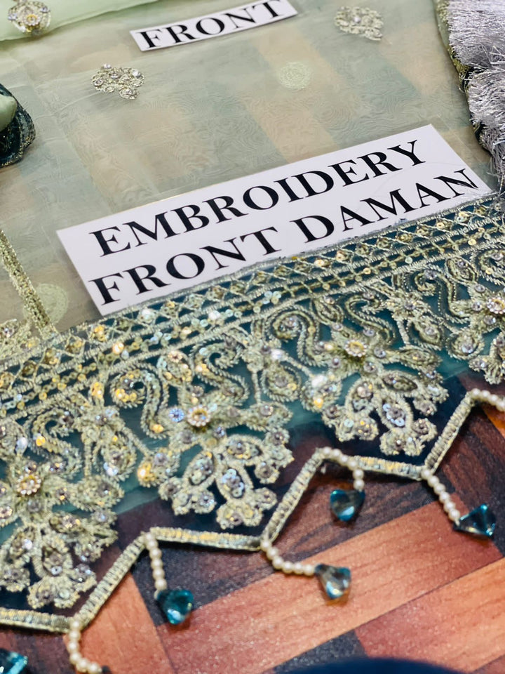 Gul Mira Organza Suit-Aarasta