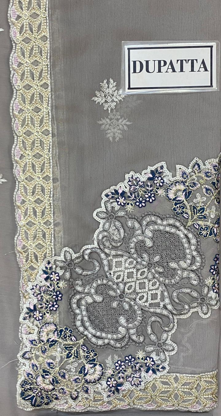 Ramsha Chiffon Suit-Aarasta