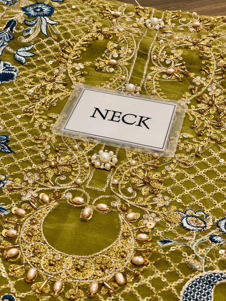 Ramsha Organza Suit-Aarasta