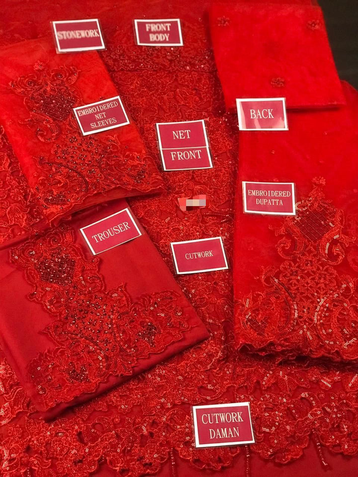 Rangrasiya Net Suit-Aarasta