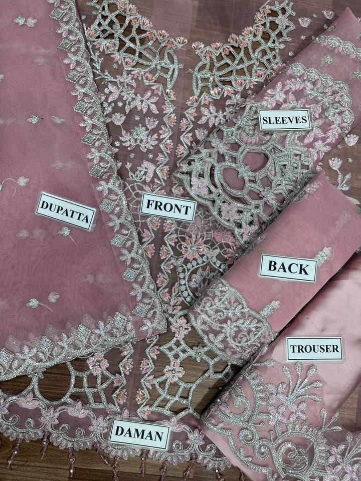 Rangrasiya Organza Suit-Aarasta