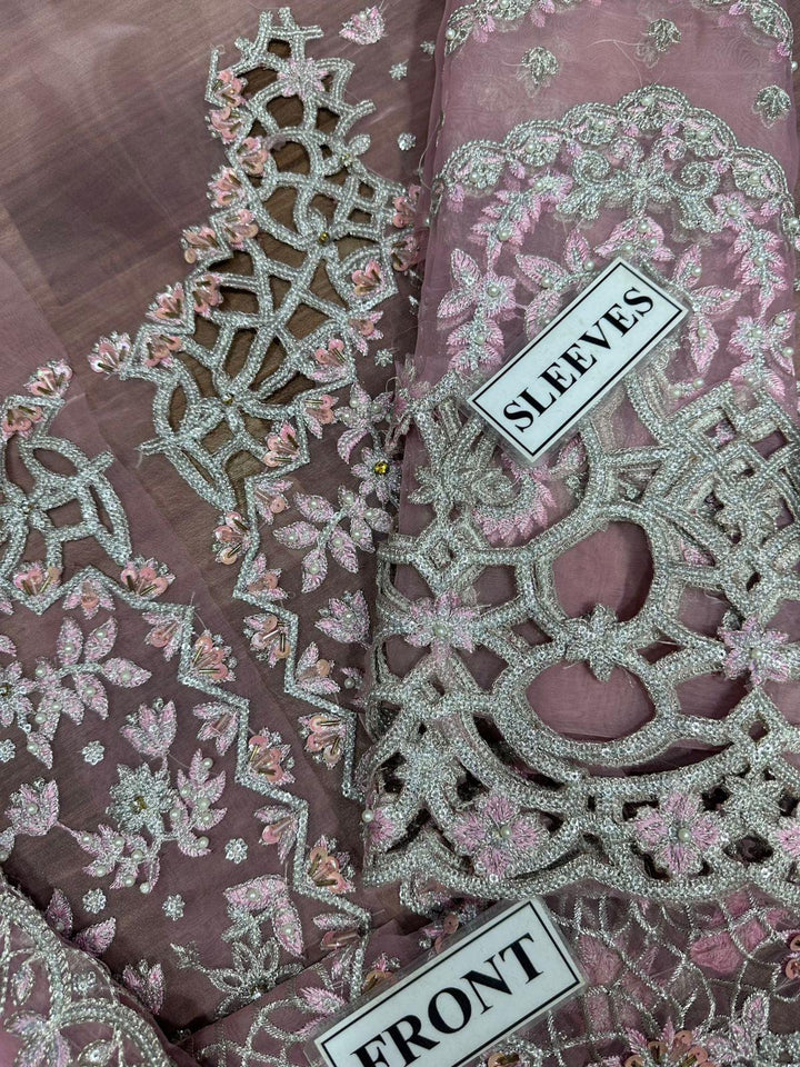 Rangrasiya Organza Suit-Aarasta