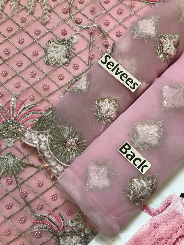 Serene Organza Suit-Aarasta