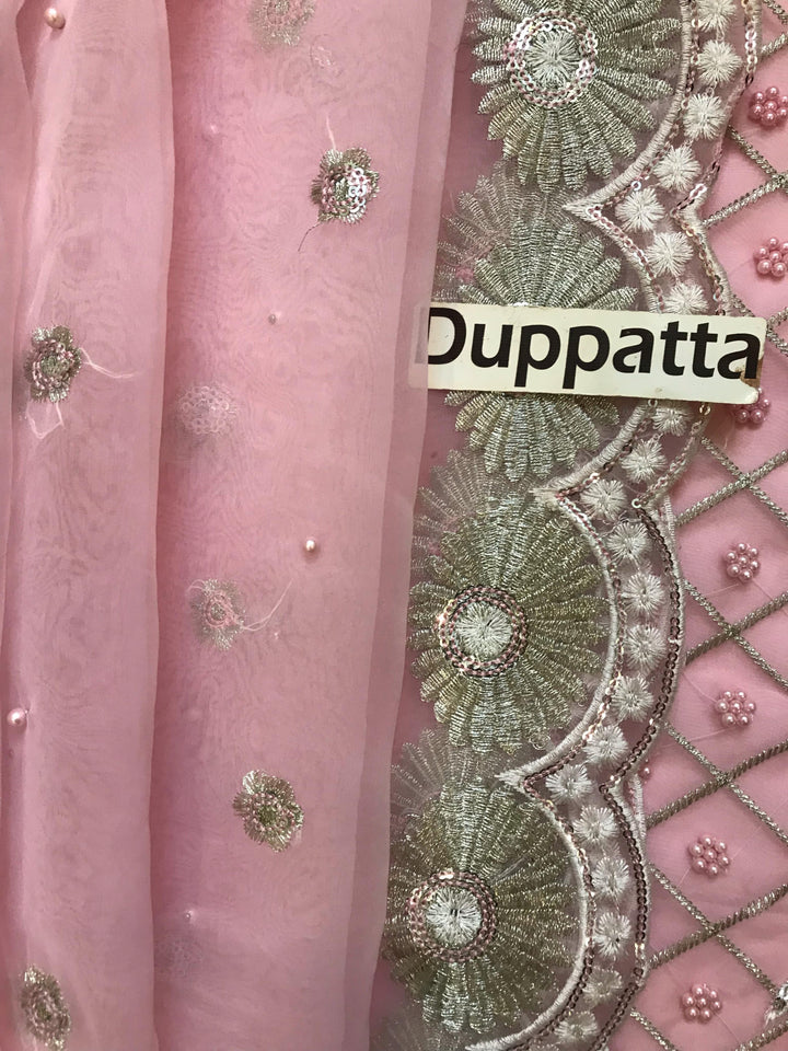 Serene Organza Suit-Aarasta