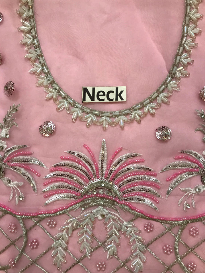 Serene Organza Suit-Aarasta