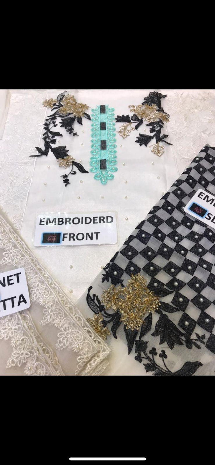 Kareena Organza Suit-Aarasta